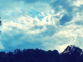 Low angle view of trees against sky