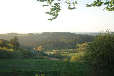 Scenic view of landscape against clear sky