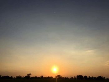 Silhouette trees against sky during sunset