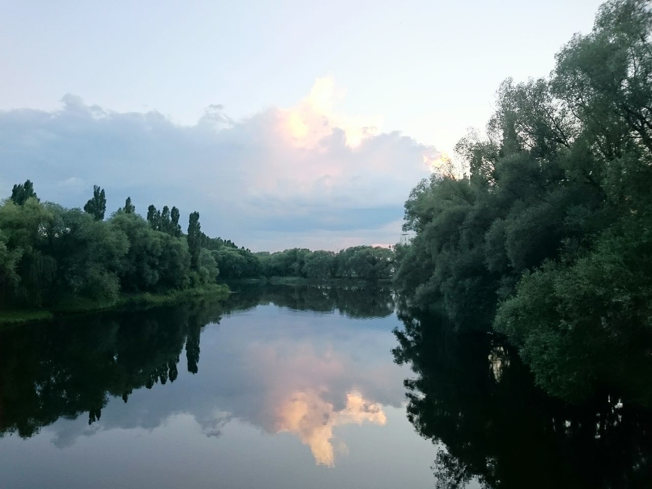 reflection, tree, tranquil scene, water, tranquility, scenics, lake, beauty in nature, sky, waterfront, nature, idyllic, standing water, cloud - sky, calm, cloud, growth, silhouette, outdoors, no people