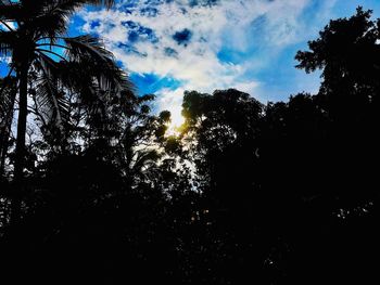 Low angle view of silhouette trees against sky