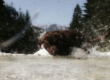 Close-up of woman in water