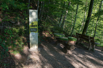 Information sign by trees in forest