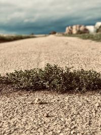 Surface level of sand on beach against sky