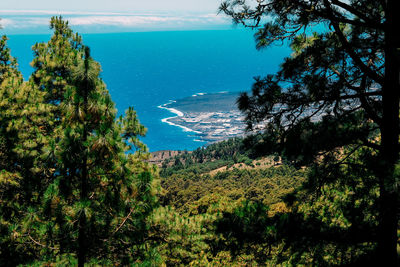 Scenic view of sea and trees against sky