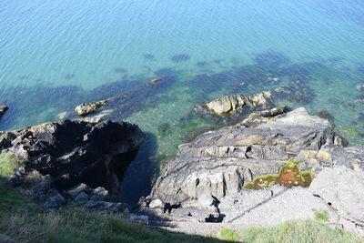 High angle view of rocks on shore