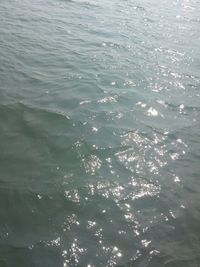 Waves in sea