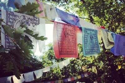 Low angle view of text hanging on tree