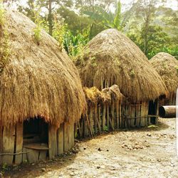 Hay bales in farm