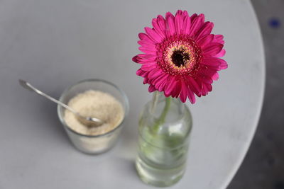 High angle view of red flower on table