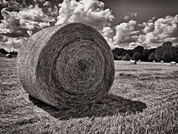 Hay bales on field