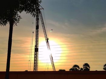 Low angle view of silhouette trees against sky during sunset