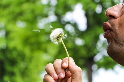 Cropped image of person blowing dandelion