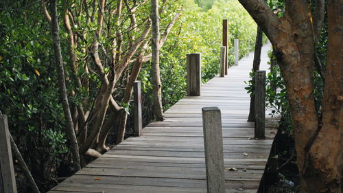 Wooden walkway amidst trees
