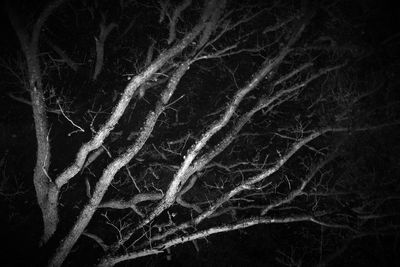 Close-up of abstract background