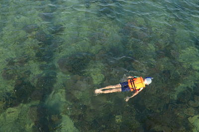 High angle view of person swimming in sea