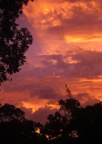 Low angle view of silhouette trees against dramatic sky