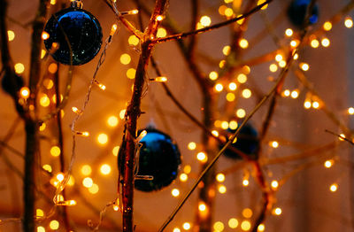 Close-up of illuminated decorations at home
