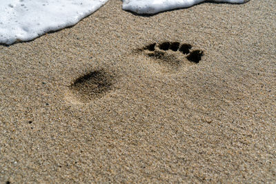 High angle view of footprints on beach