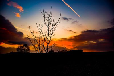 Silhouette tree on field against dramatic sky during sunset
