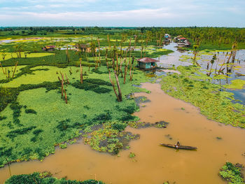 High angle view of plants on landscape against sky