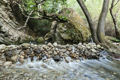 Stream flowing through rocks in forest