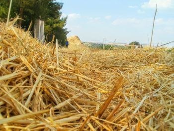 Hay bales on field against sky