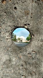 Low angle view of hole in tree trunk