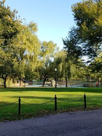 Trees in park against sky