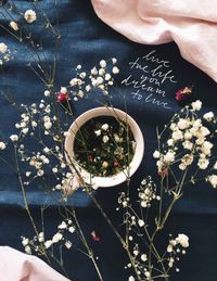 High angle view of person hand holding flowering plant