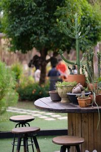 Potted plants on table in yard