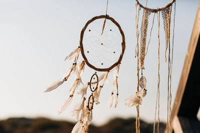 Close-up of feather hanging