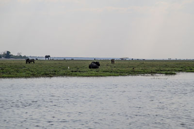 Scenic view of landscape against sky