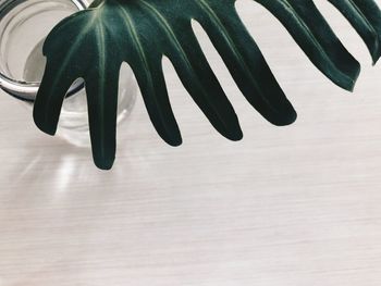 High angle view of black tea on table