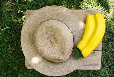 Summer sun hat and zucchini 