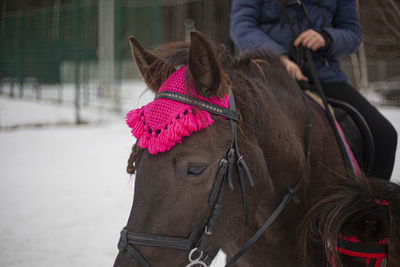 Midsection of person riding horse