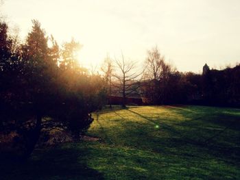 Scenic view of grassy field against sky at sunset