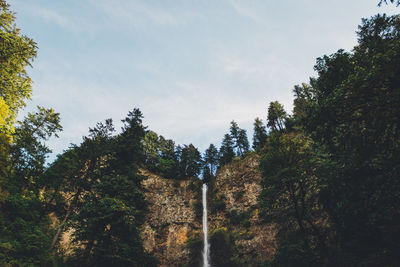 Scenic view of waterfall in forest against sky