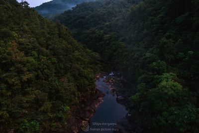 High angle view of trees and mountains against sky