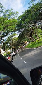 Road by trees seen through car windshield