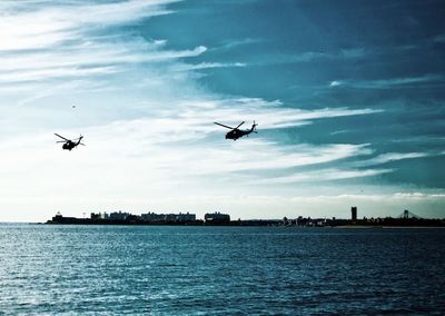 Birds flying over sea against blue sky