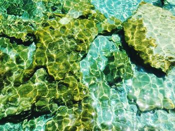 High angle view of water in swimming pool