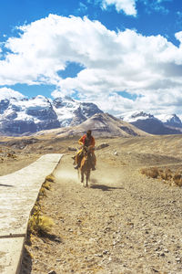 Rear view of man riding horse on mountain