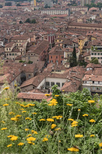 High angle view of buildings in town