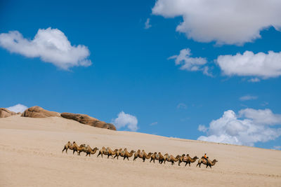 Scenic view of desert against sky