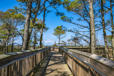 Footbridge amidst trees against sky