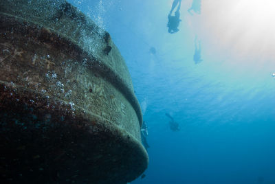 Divers swimming in sea around shipwreck