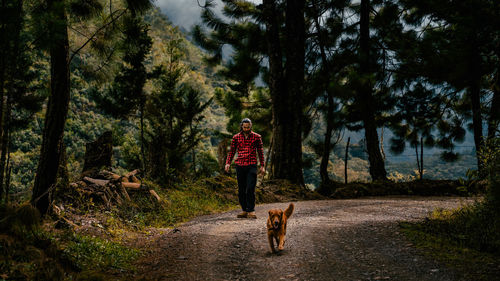 Rear view of woman walking in forest