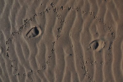 Close-up of footprints on sand at beach