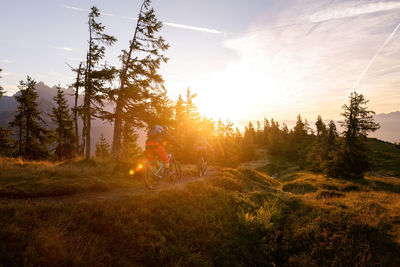 Man riding bicycle by trees against sky during sunset